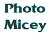 Photomicey